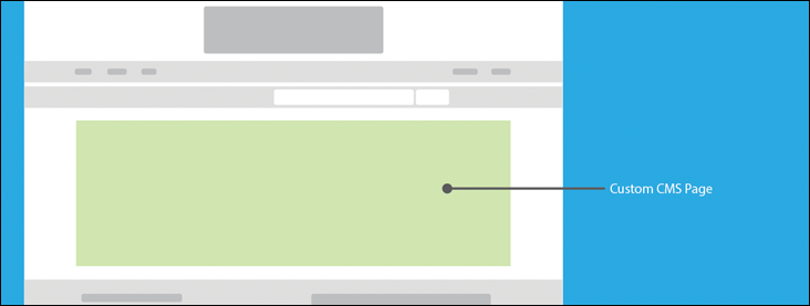 CMS CustomCMSPage