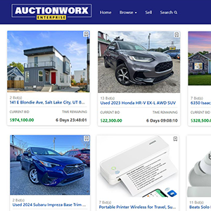 online auction software main demo