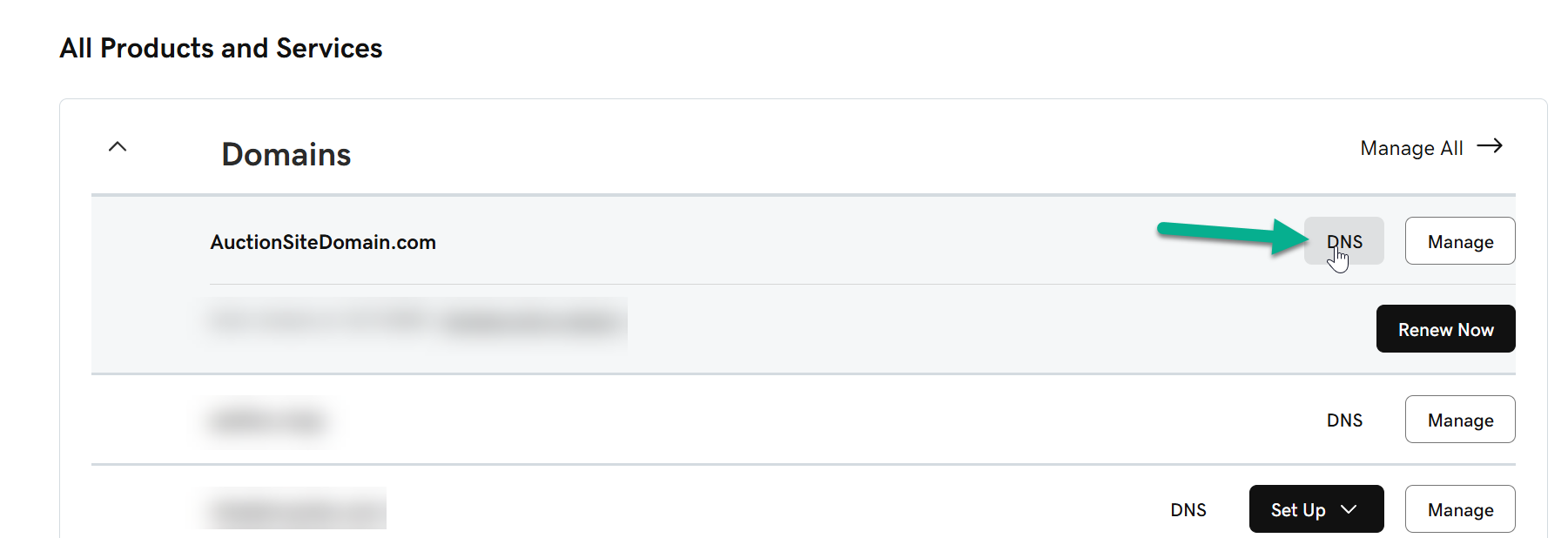 DNS link next to the domain