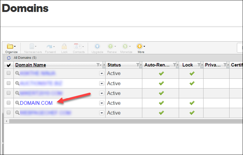 Manage the domain